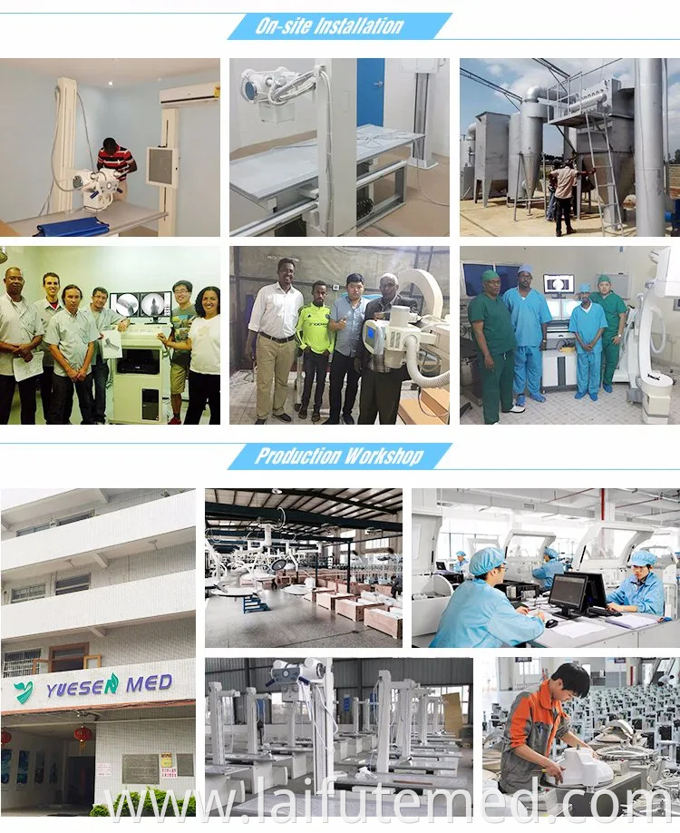 Ysvet601b Medical Vet Pet Animal Stainless Steel Dog Veterinary Oxygen Cage